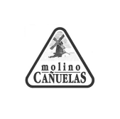 Logo 31